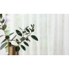 Perdea Viola Crem 400 x 250 cm