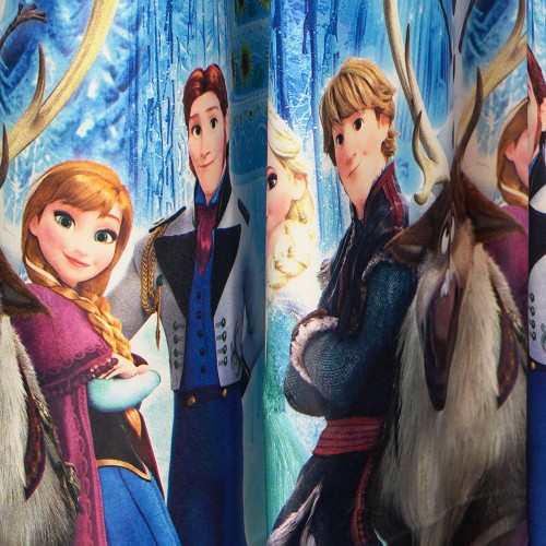 Set Draperie si Perdea Frozen cu rejansa simpla